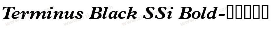 Terminus Black SSi Bold字体转换